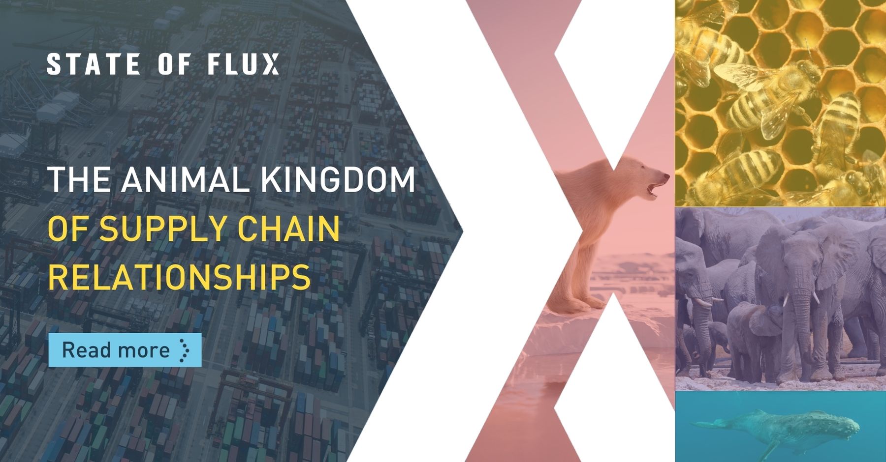 The Animal Kingdom of Supply Chain Relationships