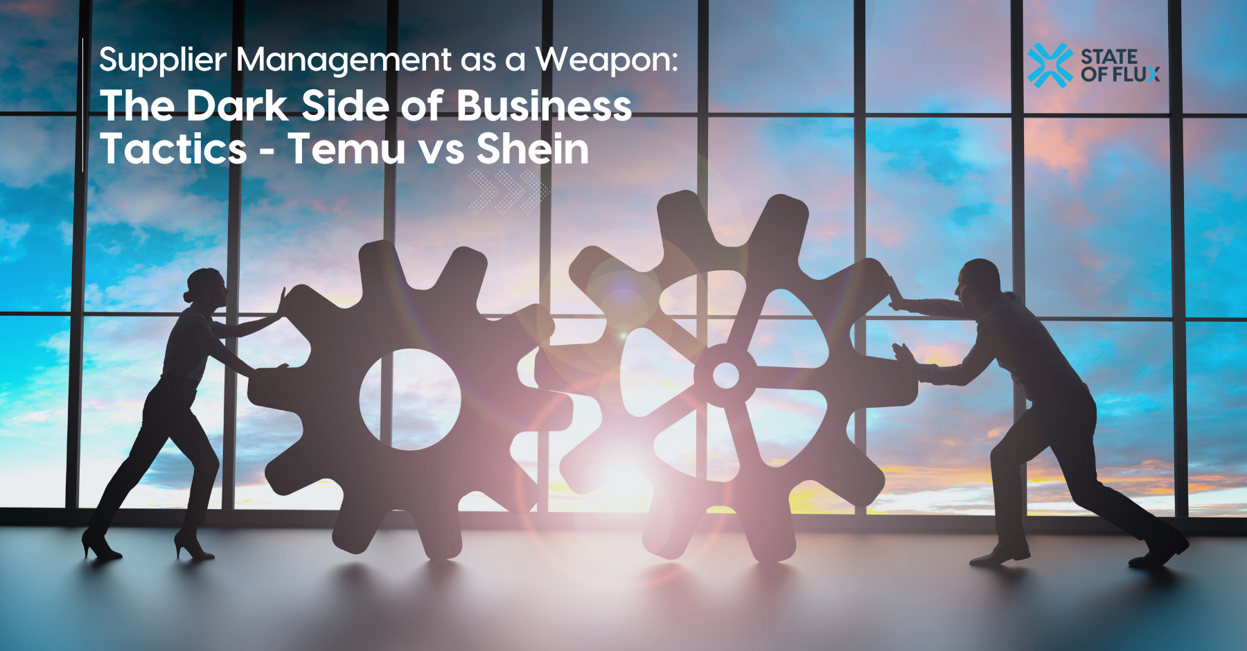 Supplier Management as a Weapon: The Dark Side of Business Tactics - Temu vs Shein