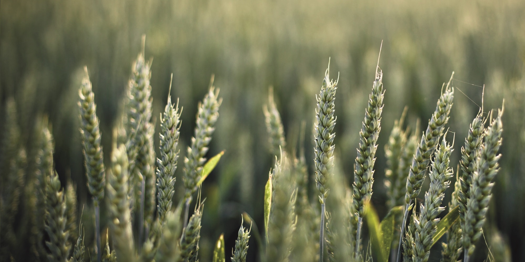 Why greenwash won't wash...