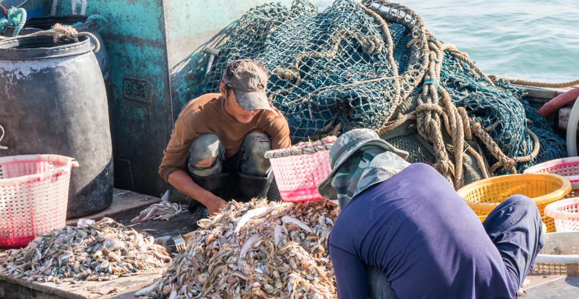 Supply chain sustainability and modern slavery business plan